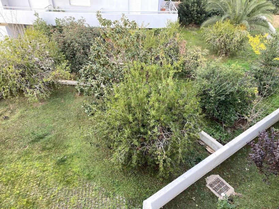 Spacious And Sunkissed 3Br & 2 Bathrooms Apartment Atény Exteriér fotografie